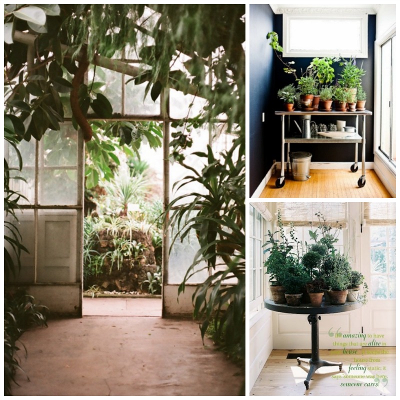 Nomad Luxuries a photo collage for inspiration with a bunch of greenery