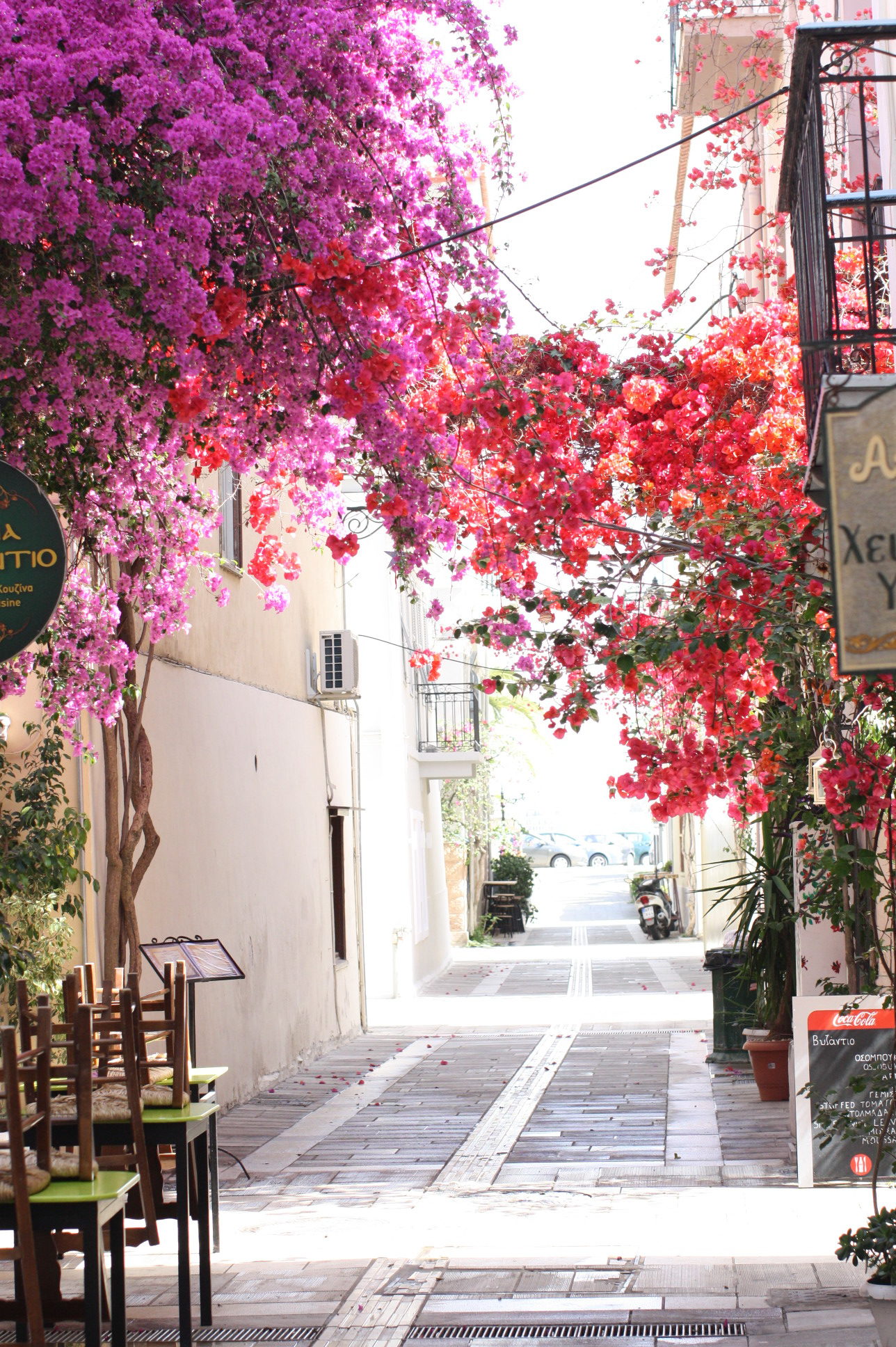 Nomad Luxuries in Nafplio, Greece under flowers in the mediterranean