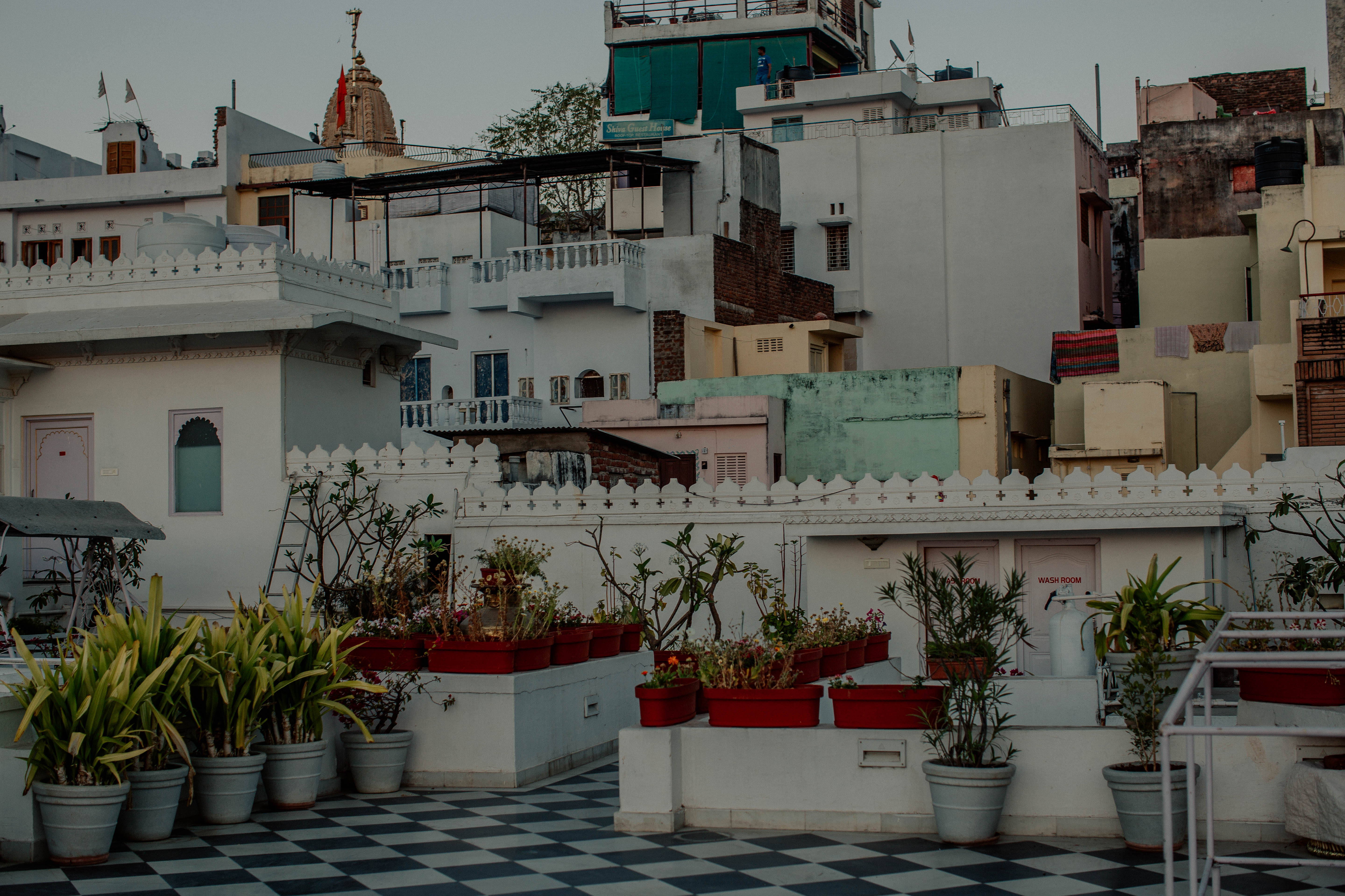 Floral Maximalism in Udaipur