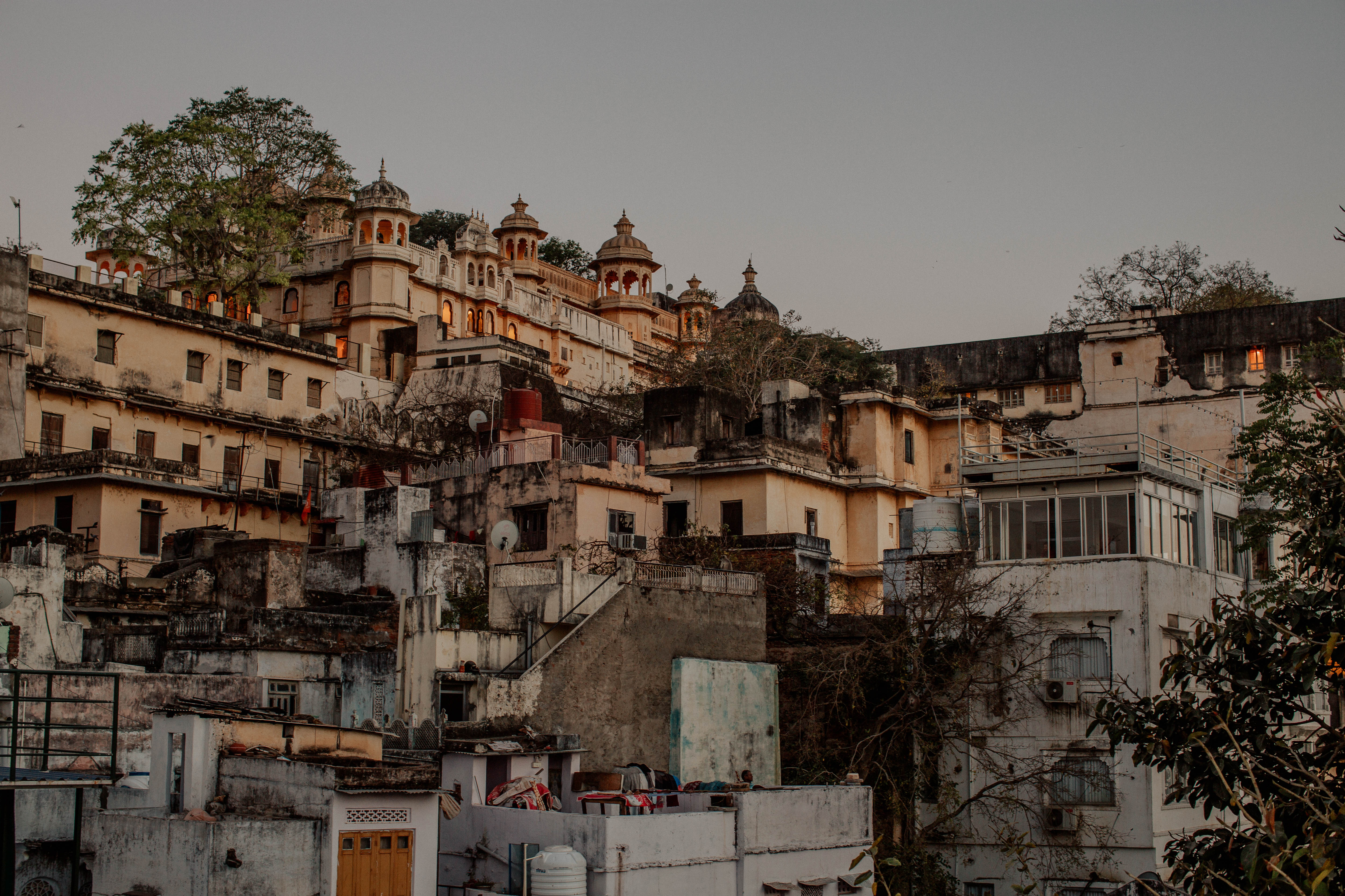 Floral Maximalism in Udaipur