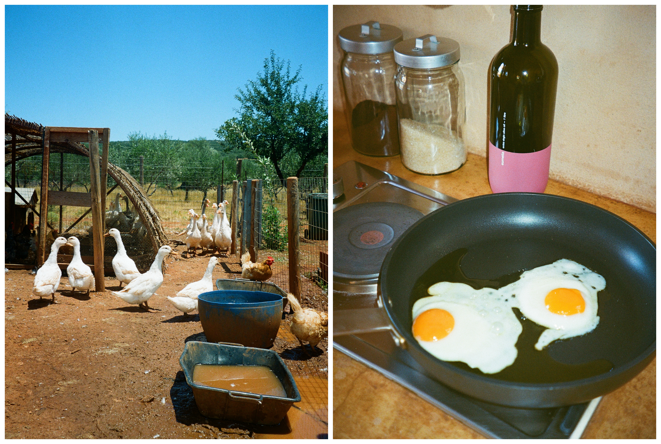 A WEEKEND AT EUMELIA AGROTOURISM FARM