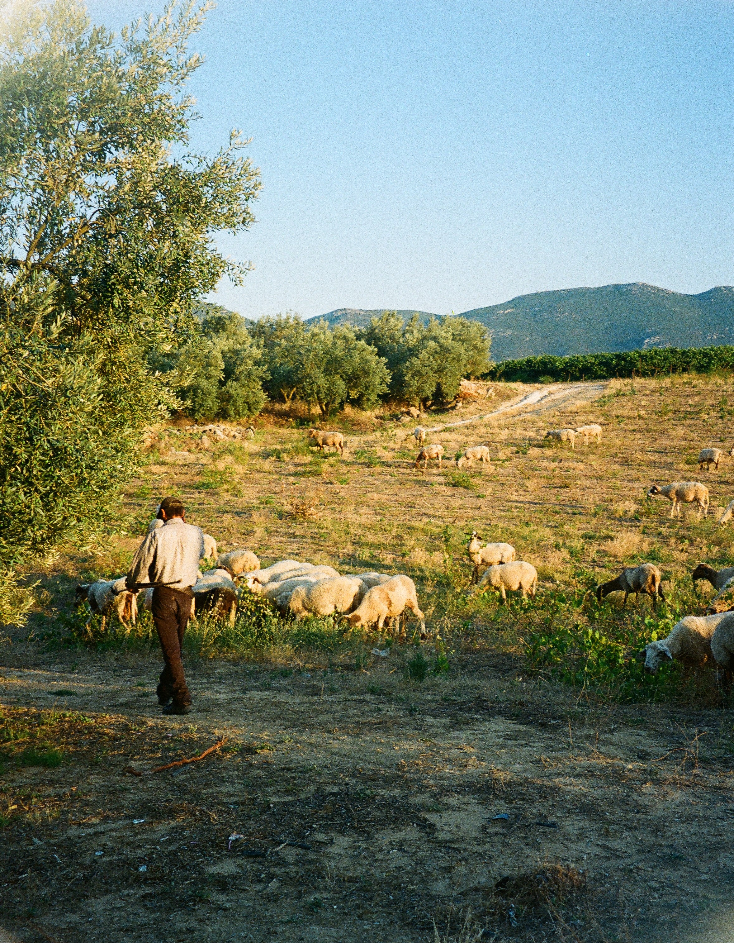 A WEEKEND AT EUMELIA AGROTOURISM FARM