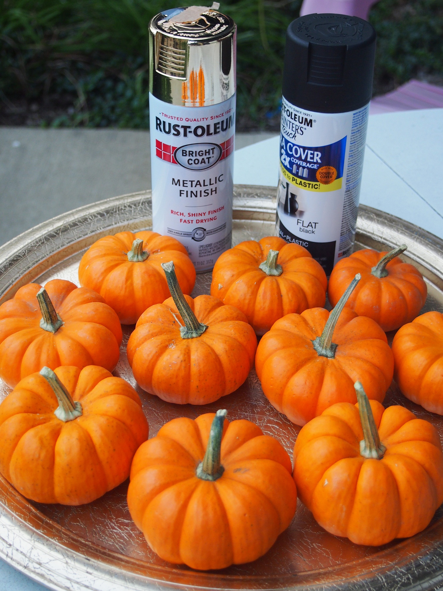 Nomad luxuries photo of diy materials with pumpkins and spray paint.