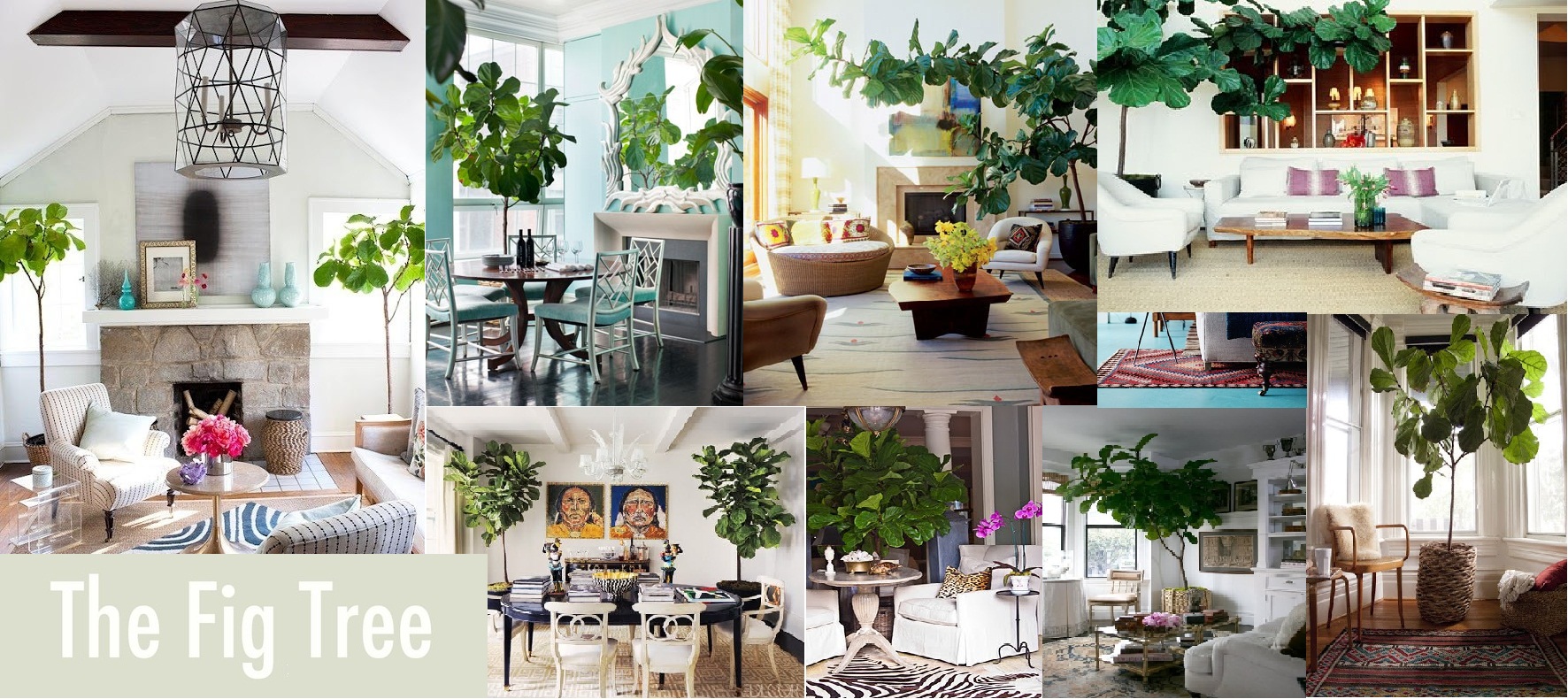 Nomad Luxuries photo collage of inspirational plant decor from Pintrest.