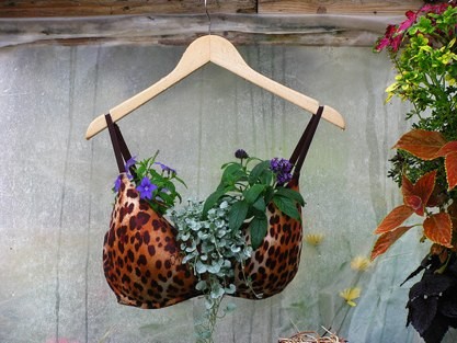 Nomad Luxuries the perfect undergarment planter for when desperation calls. 