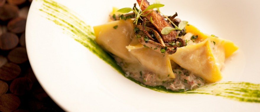 Nomad Luxuries; beautifully plated dumpling entree with avant garde elements