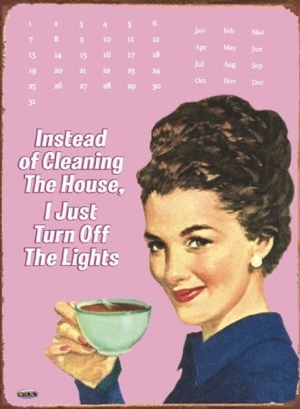Nomad Luxuries satirical graphic image showing the perfect way to clean. 