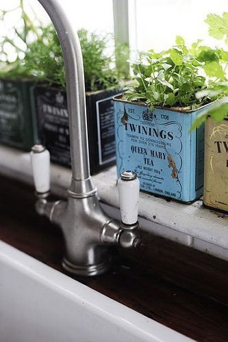 Nomad Luxuries image of repurposing tea tins into planters for herbs. 