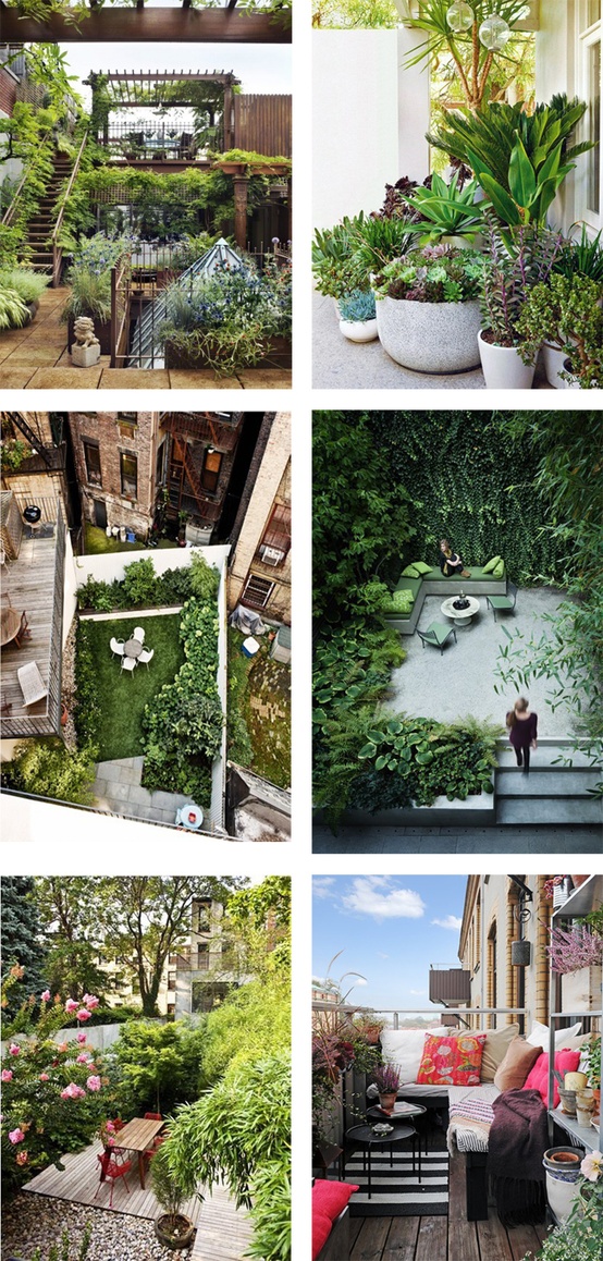 Nomad Luxuries photo collage comprised of urban gardens of multiple kinds. 